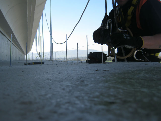 Ascend-Rope-Access-Bird-Proofing-Solutions-We-Use