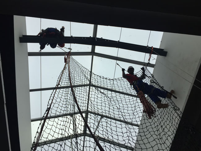 Ascend-Rope-Access-Our-Bird-Proofing-Process